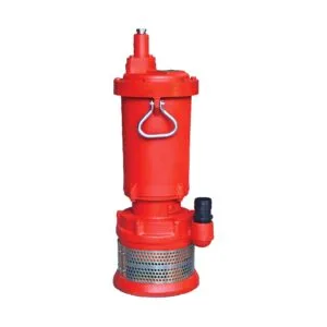 Bomba Sumergible Agua Limpia Fierro QX14