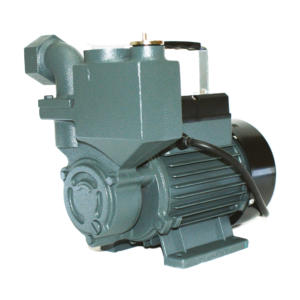 Conjunto Motor Bomba Shimge SA450 3/4 HP 127V para Agua Limpia